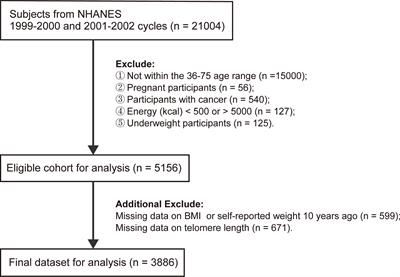 Association Between Weight Change and Leukocyte Telomere Length in U.S. Adults